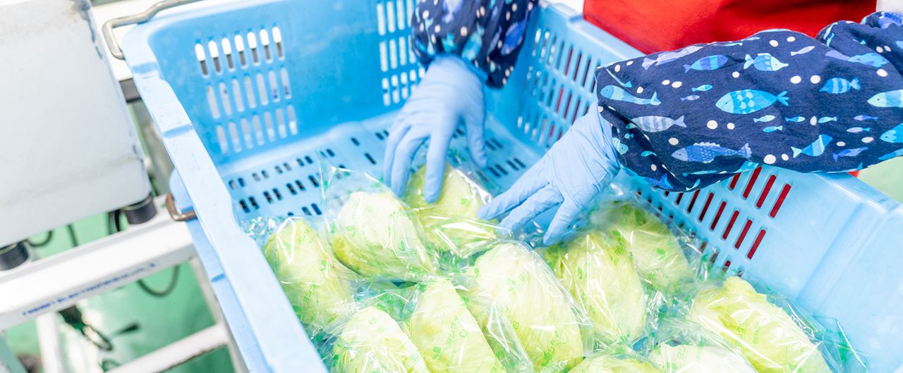 食品加工 | 食品加工